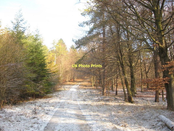 Photo 6"x4" Flainsey Rigg, Dalby Forest Low Dalby c2010