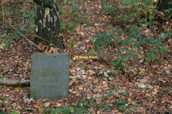 Photo 6"x4" Memorial in the woods Blidworth Dale c2011
