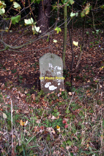 Photo 6"x4" Boundary stone near Papplewick Blidworth Dale c2011