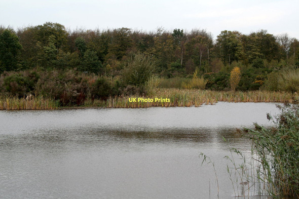 Photo 6"x4" Pond near Papplewick Pumping Station Blidworth Dale c2011
