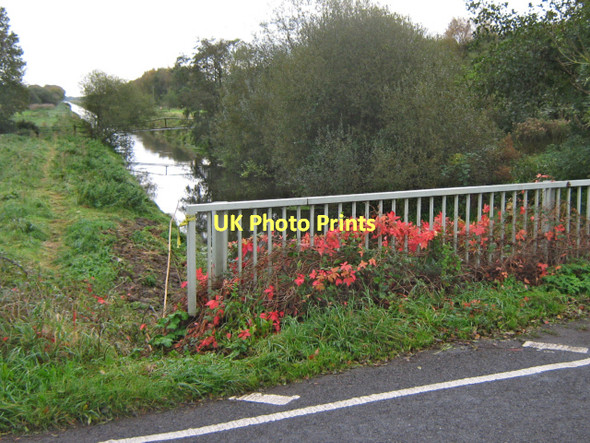 Photo 6"x4" Bridge over the Glastonbury Canal, Shapwick Heath Westhay\/ST4342 c2011