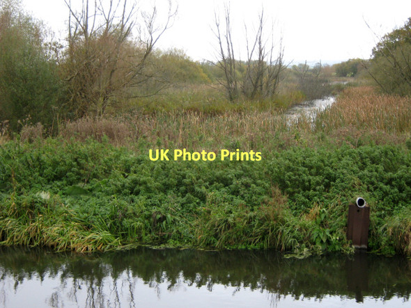 Photo 6"x4" The Glastonbury Canal and Meare Heath Ashcott Corner c2011
