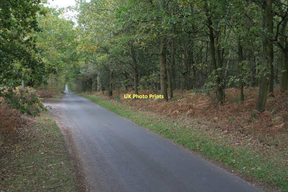 Photo 6"x4" Rigg Lane Blidworth Dale c2011