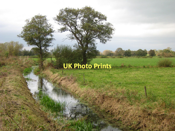 Photo 6"x4" Heath Rhyne, Meare Heath Meare c2011 P1