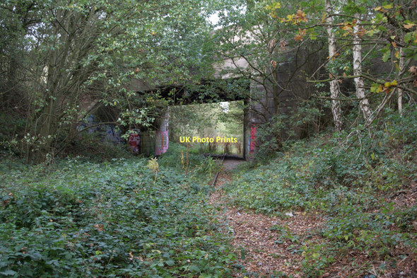 Photo 6"x4" Rigg Lane railway bridge Blidworth Dale c2011