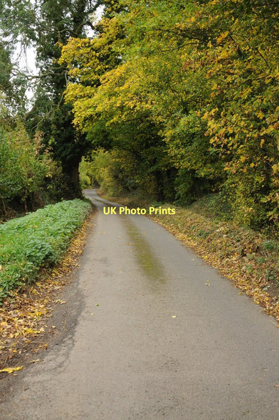 Photo 6"x4" Road up Lever's Hill Silver Street\/SO7801 c2011