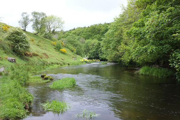 Photo 6"x4" River Kent Cowen Head c2011