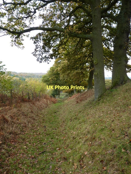 Photo 6"x4" Bridleway above Wetmore Eaton\/SO5090 c2011