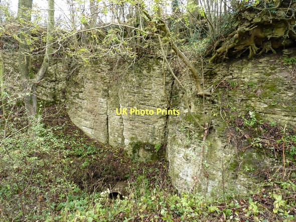 Photo 6"x4" Small, disused quarry on Middlehope Hill Little London\/SO5088 c2011