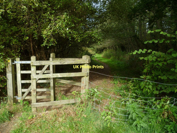 Photo 6"x4" Orange Way in Devon and Torbay (136) Heathfield\/SX8376 c2011