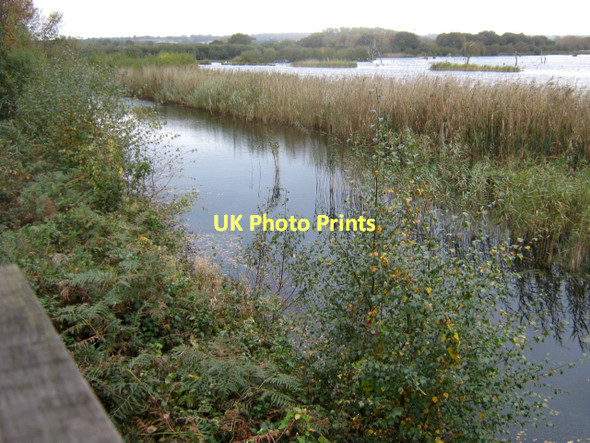 Photo 6"x4" View from Noah's Hide Ashcott Corner c2011