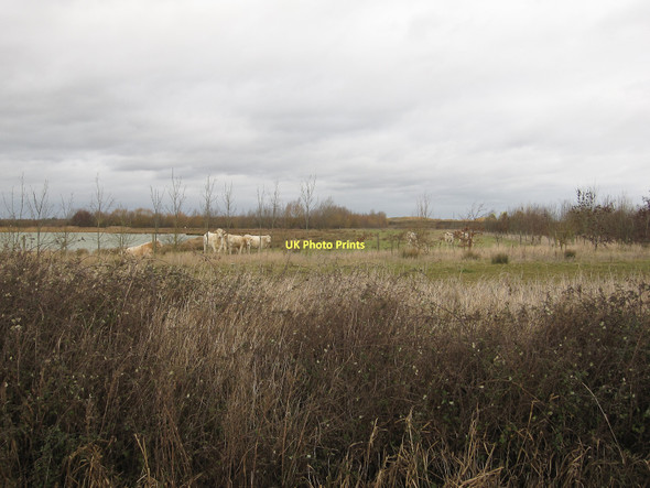 Photo 6"x4" Needingworth gravel pits Needingworth c2011