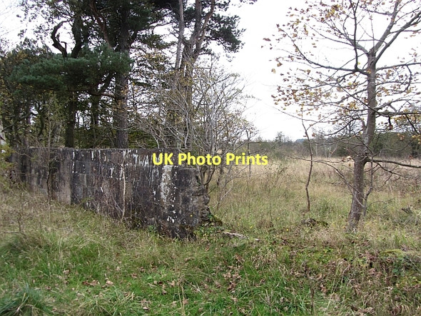 Photo 6"x4" Ruined policy wall, Collyshot Wishaw\/NS7955 c2011