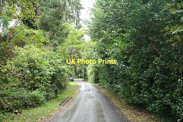 Photo 6"x4" Abbots Leigh: access lane on National Trust estate Abbots Leigh\/ST5473 c2011