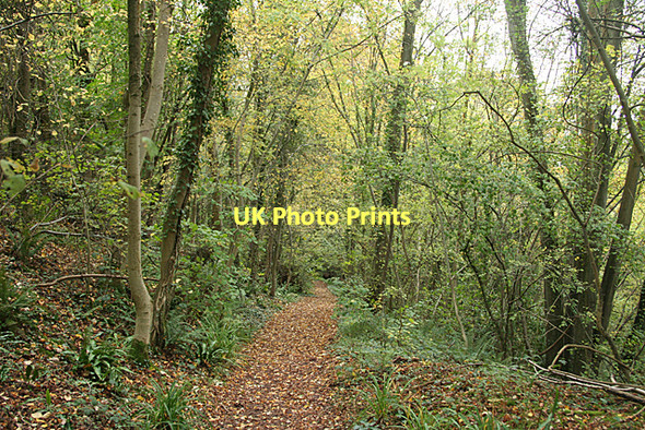 Photo 6"x4" Abbots Leigh: looking down the old inclined plane Abbots Leigh\/ST5473 c2011