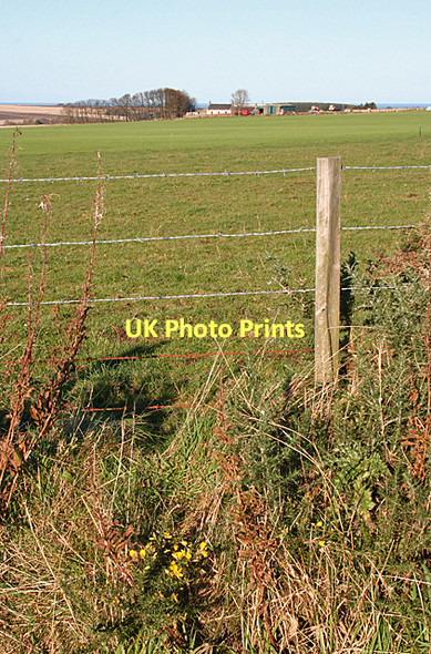 Photo 6"x4" Upper Culphin Cornhill\/NJ5858 c2011