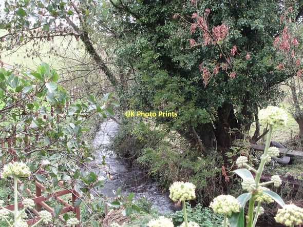 Photo 6"x4" One of the headwaters of the Clanrye River at Barnmeen Rathfriland c2011