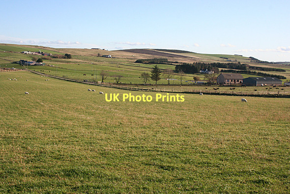 Photo 6"x4" New Farm Near Milbethill Blacklaw\/NJ6355 c2011
