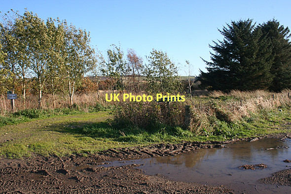 Photo 6"x4" Footpath Signposts Finnygaud c2011