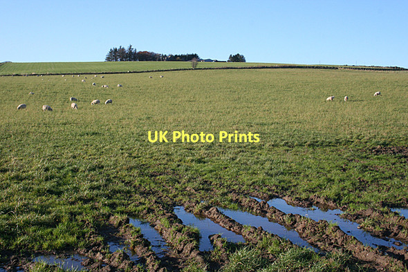 Photo 6"x4" Looking ToWards Elrick Aberchirder c2011