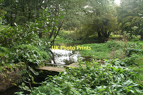 Photo 6"x4" Wraxall: pond on the Land Yeo Flax Bourton c2011