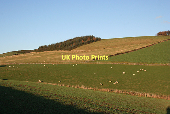 Photo 6"x4" Cranna Hill Aberchirder c2011