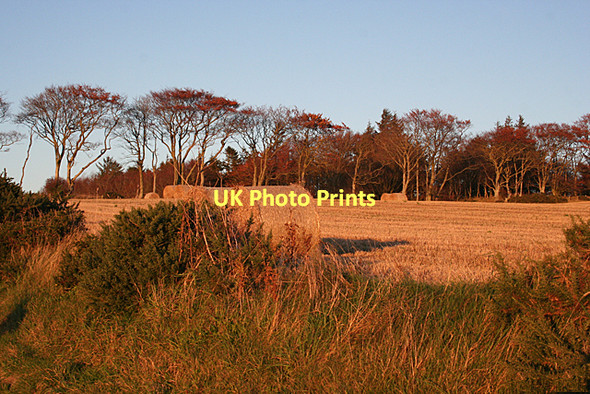Photo 6"x4" Cowie Hill at Sunset Pole of Itla c2011