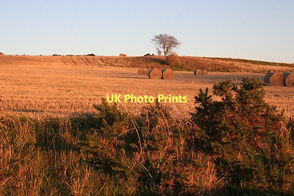 Photo 6"x4" Above Drywells at Sunset Pole of Itla c2011