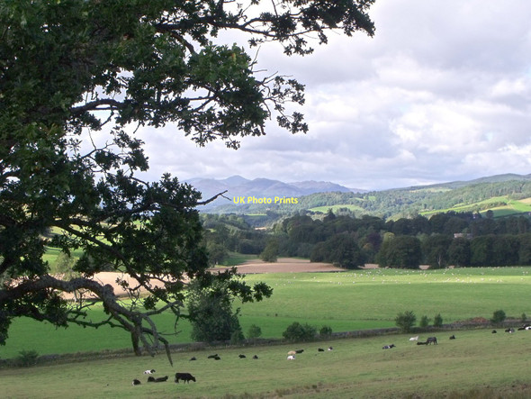 Photo 6"x4" Pastureland at Monzie, Perthshire Gilmerton\/NN8823 c2011