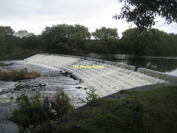 Photo 6"x4" Kirkthorpe Weir, west bank Wakefield\/SE3320 c2011