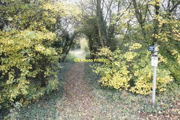 Photo 6"x4" Towards Clacks Lane Wallingford c2011