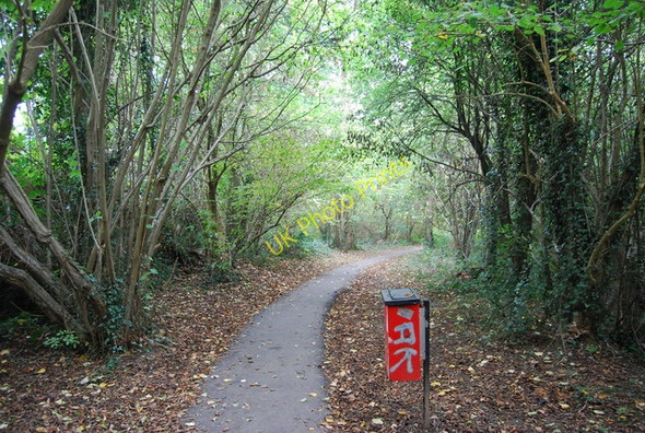 Photo 6"x4" The Pen Stream woodland Path Tonbridge c2009