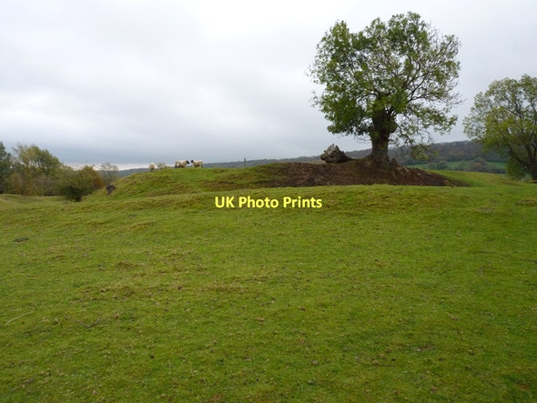 Photo 6"x4" The Rushbury motte Rushbury c2011