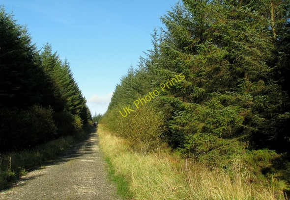 Photo 6"x4" Track, Glenariff Forest Park Glenariff c2009