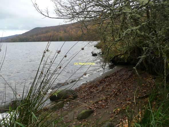 Photo 6"x4" Miniature beach Tressair c2011