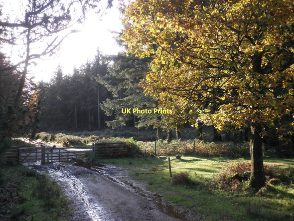 Photo 6"x4" Gateway, on Withycombe Common Churchtown\/SS9738 c2011