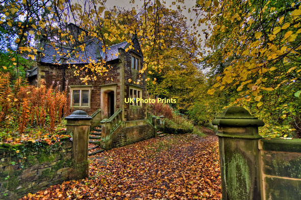 Photo 6"x4" Fall in Ilam Ilam c2011