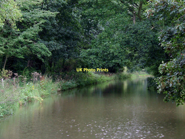 Photo 6"x4" Trent and Mersey Canal south-east of Dutton, Cheshire Dones Green c2011