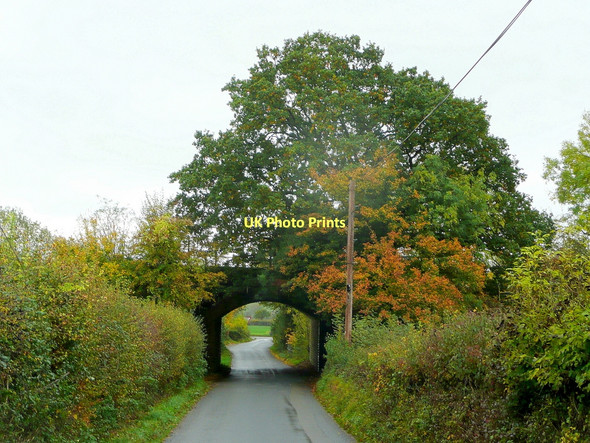 Photo 6"x4" Railway bridge over the Blaisdon Road Westbury-on-Severn c2011