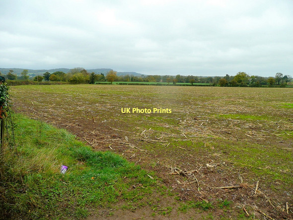 Photo 6"x4" Field with crop residue Westbury-on-Severn c2011