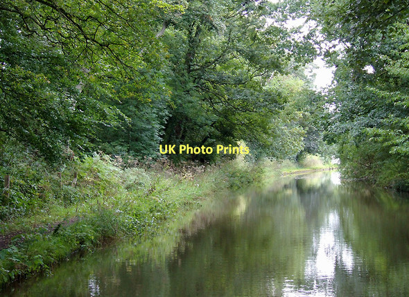 Photo 6"x4" Trent and Mersey Canal south-east of Dutton, Cheshire Dones Green c2011