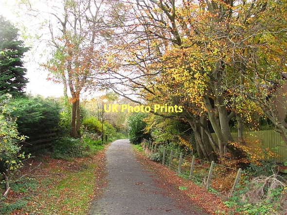 Photo 6"x4" Path off Murieston Road Dedridge c2011