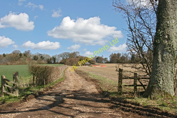 Photo 6"x4" Farm Track near Brockwood Park Bramdean c2006