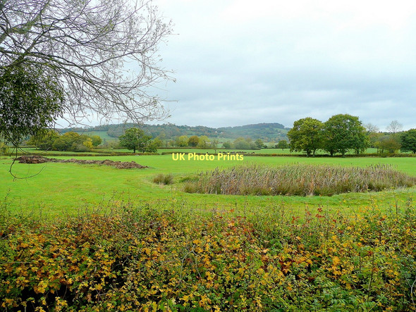 Photo 6"x4" Farmland scene Northwood Green c2011