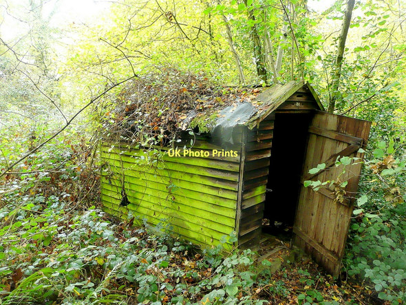 Photo 6"x4" Hut in the wood Blaisdon c2011