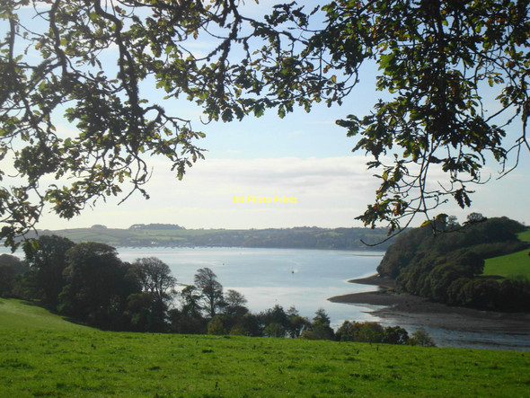 Photo 6"x4" Overlooking Channals Creek Trelissick\/SW8339 c2011