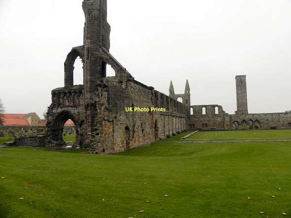 Photo 6"x4" St  Andrew's Cathedral St Andrews c2011