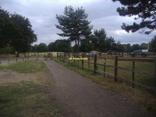 Photo 6"x4" Path and Windmill Road on Wimbledon Common Putney Heath c2010