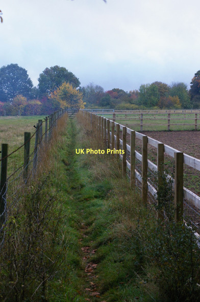 Photo 6"x4" Goring Heath: path north-east of Allnutt's Almshouses Goring Heath c2011