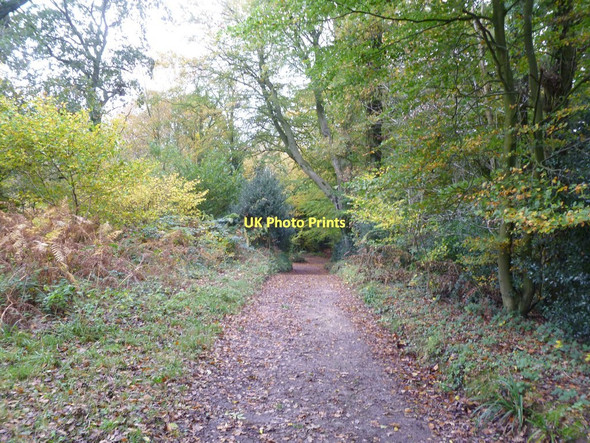 Photo 6"x4" Gare Hill, Honey Pot Lane Gare Hill c2011